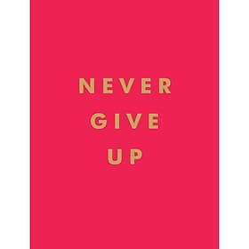 Never Give Up - Nam Phương