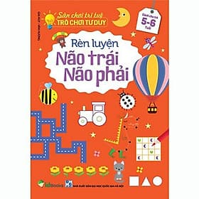 Sân chơi trí tuệ trò chơi tư duy rèn luyện não trái não phải dành cho trẻ từ 3-6 tuổi (lẻ 1c) - Việt Hà