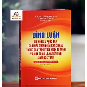 Bình luận án hình sự phức tạp, có nhiều quan điểm khác nhau trong quá trình tiến hành tố tụng và một số án lệ, quyết định giám đốc thẩm - Trí