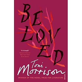 Tiểu thuyết tiếng Anh: Beloved - Usborne Publishing Ltd