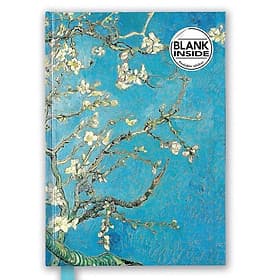 PL - Vincent Van Gogh: Almond Blossom - Nam Phương