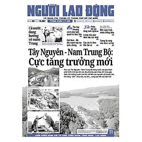 Nhật báo Người Lao Động từ ngày 03-11-2025 đến 09-11-2025 - Lão Ngư