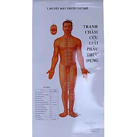 Tranh Châm Cứu Giải Phẫu Thực Dụng
