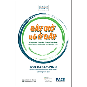 BÂY GIỜ VÀ Ở ĐÂY (There You Are: Mindfulness Meditation in Everyday Life) - Jon Kabat-Zinn - Lê Hồng Vân dịch - Tủ sách Doanh Trí-PACE