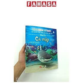 Sách Bách Khoa Tri Thức Về Khám Phá Thế Giới Cho Trẻ Em - Cá Mập - Trí