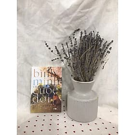 Bình minh của cuộc đời - Bình