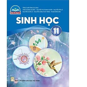 Sách giáo khoa Sinh Học 11- Chân Trời Sáng Tạo (Kèm Nilon bọc Sách) - Chà