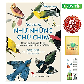 Sải Cánh Như Những Chú Chim - Những Bài Học Nhỏ Để Có Nguồn Năng Lượng Tích Cực Bất Tận - Kim Chi