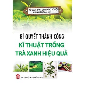 Bí Quyết Thành Công Kĩ Thuật Trồng Trà Xanh Hiệu Quả - KV - Thu