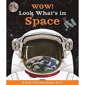 Wow! Look What's In Space! - Kingfisher