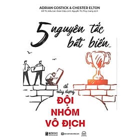 5 Nguyên Tắc Bất Biến Để Xây Dựng Đội Nhóm Vô Địch - MCBooks