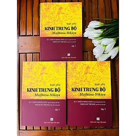 Toát Yếu Kinh Trung Bộ - Văn