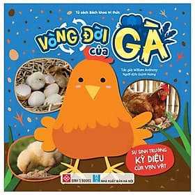 Sự Sinh Trưởng Kỳ Diệu Của Vạn Vật - Vòng Đời Của Gà - Gã