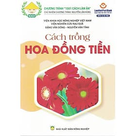 Cách Trồng HOA ĐỒNG TIỀN - Tri Thức