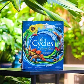 Vòng Đời (Life Cycles)