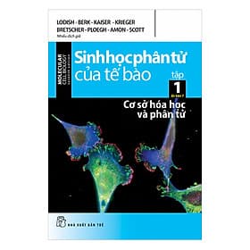 Sách Sinh Học Phân Tử Của Tế Bào - Tập 1: Cơ Sở Hóa Học Và Phân Tử (Ấn Bản 7)