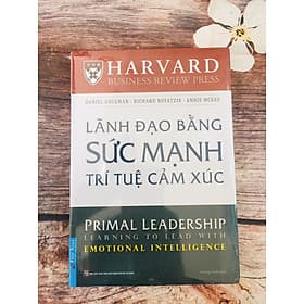 Lãnh đạo bằng sức mạnh trí tuệ cảm xúc - Làn
