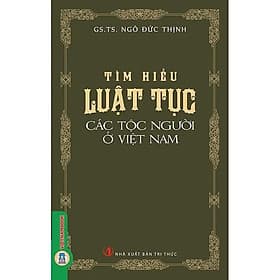 Tìm Hiểu Luật Tục Các Tộc Người Ở Việt Nam - Ngô Đức Thịnh - VIETNAMBOOK - Nam Việt