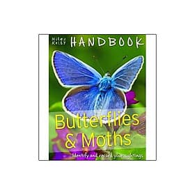 Handbook - Butterflies & Moths - Miles Kelly Publishing