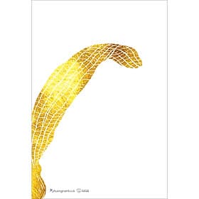 Sách Dưới Tán Chò Nâu Sài Gòn-Beneath Saigon'S Chò Nâu (Song Ngữ Anh Việt) - Việt An