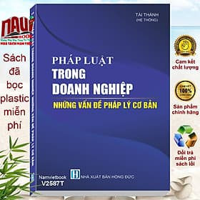 Sách Pháp Luật Trong Doanh Nghiệp – Những Vấn Đề Pháp Lý Cơ Bản (V2587T) - Lý Nam