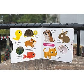 Xoay, Xoay, Xoay - Đi Tìm ... - Sách Tương Tác Cho Trẻ 0 - 6 Tuổi - Đinh Tị Books - Di Di