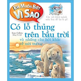 Sách Em Muốn Biết Vì Sao Có Lỗ Thủng Trên Bầu Trời Và Những Câu Hỏi Khác Về Môi Trường - Văn