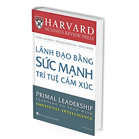 Lãnh Đạo Bằng Sức Mạnh Trí Tuệ Cảm Xúc - Daniel Goleman, Richard Boyat - Richard Fenton