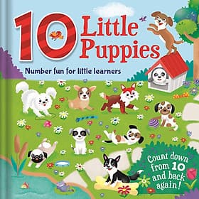 Sách Number Fun For Little Learners: 10 Little Puppies (Count Down From 10 and Back Again) - An