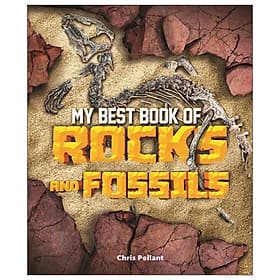 My Best Book Of Rocks And Fossils - An