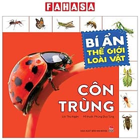 Bí Ẩn Thế Giới Loài Vật - Côn Trùng - Kim