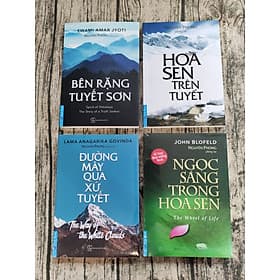 Combo 9 cuốn của tác giả Nguyên Phong - NG.UYÊN