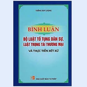 Bình Luận Bộ Luật Tố Tụng Dân Sự, Luật Trọng Tài Thương Mại Và Thực Tiễn Xét Xử - Bình