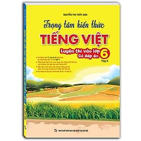 Sách Trọng Tâm Kiến Thức Tiếng Việt (Luyện Thi Vào Lớp 6) Tập 2 (Có Đáp Án) - Minh Minh