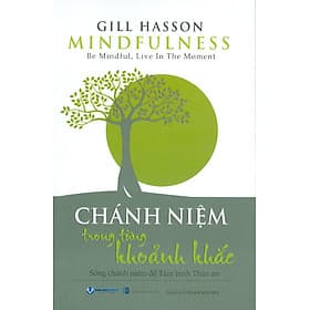 Chánh Niệm Trong Từng Khoảnh Khắc - Sống chánh niệm để Tâm bình Thân an - Rabbi Nilton Bonder; Trung Sơn dịch - Bình