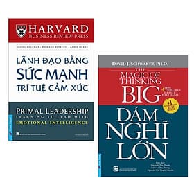 Combo 2 Cuốn Sách Kỹ Năng Làm Việc: Lãnh Đạo Bằng Sức Mạnh Trí Tuệ Cảm Xúc + Dám Nghĩ Lớn / Bộ Những Cuốn Sách Kỹ Năng Hay Nhất - Lâm Tú