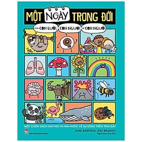 Một Ngày Trong Đời Của Con Lười, Con Ngươi Và Con Người - Kim