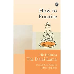Sách Ngoại Văn - How To Practise: The Way to a Meaningful Life (Dalai Lama) - 