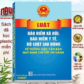 Sách Luật Bảo Hiểm Xã Hội, Bảo Hiểm Y Tế, Bộ Luật Lao Động – Hệ Thống Các Văn Bản Quy Định Chi Tiết Thi Hành (V2569T) - Việt Hà