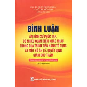 Bình Luận Án Hình Sự Phức Tạp, Có Nhiều Quan Điểm Khác Nhau Trong Quá Trình Tiến Hành Tố Tụng Và Một Số Án Lệ, Quyết Định Giám Đốc Thẩm - DH - Bình