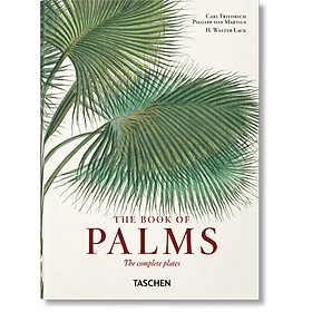 Artbook - Sách Tiếng Anh - Martius. The Book of Palms. 40th Ed. - ED