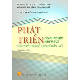 Phát Triển Các Doanh Nghiệp Nhỏ Và Vừa Vùng Nam Trung Bộ Trong Bối Cảnh Mới (Sách Chuyên Khảo) - Vũ