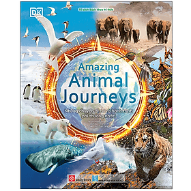 Sách Amazing Animal Journeys - Những chuyến di cư và hành trình phi thường nhất!