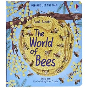 Look Inside The World Of Bees - Usborne