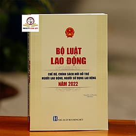 Bộ Luật Lao Động Chế Độ, Chính Sách Mới Hỗ Trợ Người Lao Động, Người Sử Dụng Lao Động Năm 2022 - Lão Ngư
