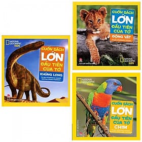Combo cuốn sách lớn đầu tiên của tớ: Khủng long + Động vật + Chim- Combo sách là cuộc hành trình khám phá thế giới - Kim Hyojin