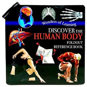 Wonder Of Learning - Discover The Human Body Foldout Reference Book - Léa