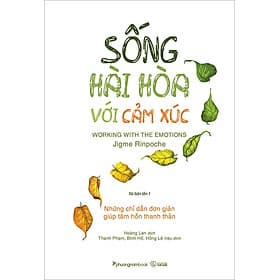 Sống Hài Hòa Với Cảm Xúc - Nhà xuất bản Larousse