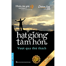 Sách Hạt Giống Tâm Hồn 9 - Hạ