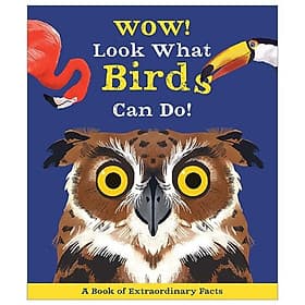 Wow! Look What Birds Can Do! - WOW